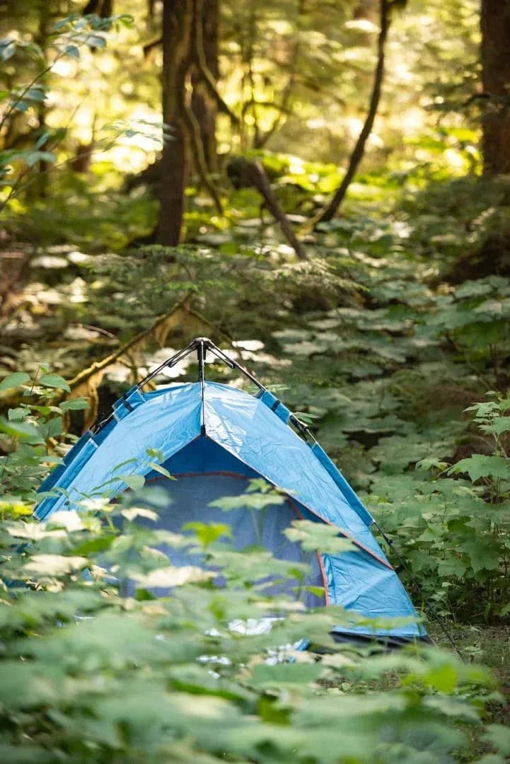 /_next/static/media/blue-tent-02.5d4721f1.webp