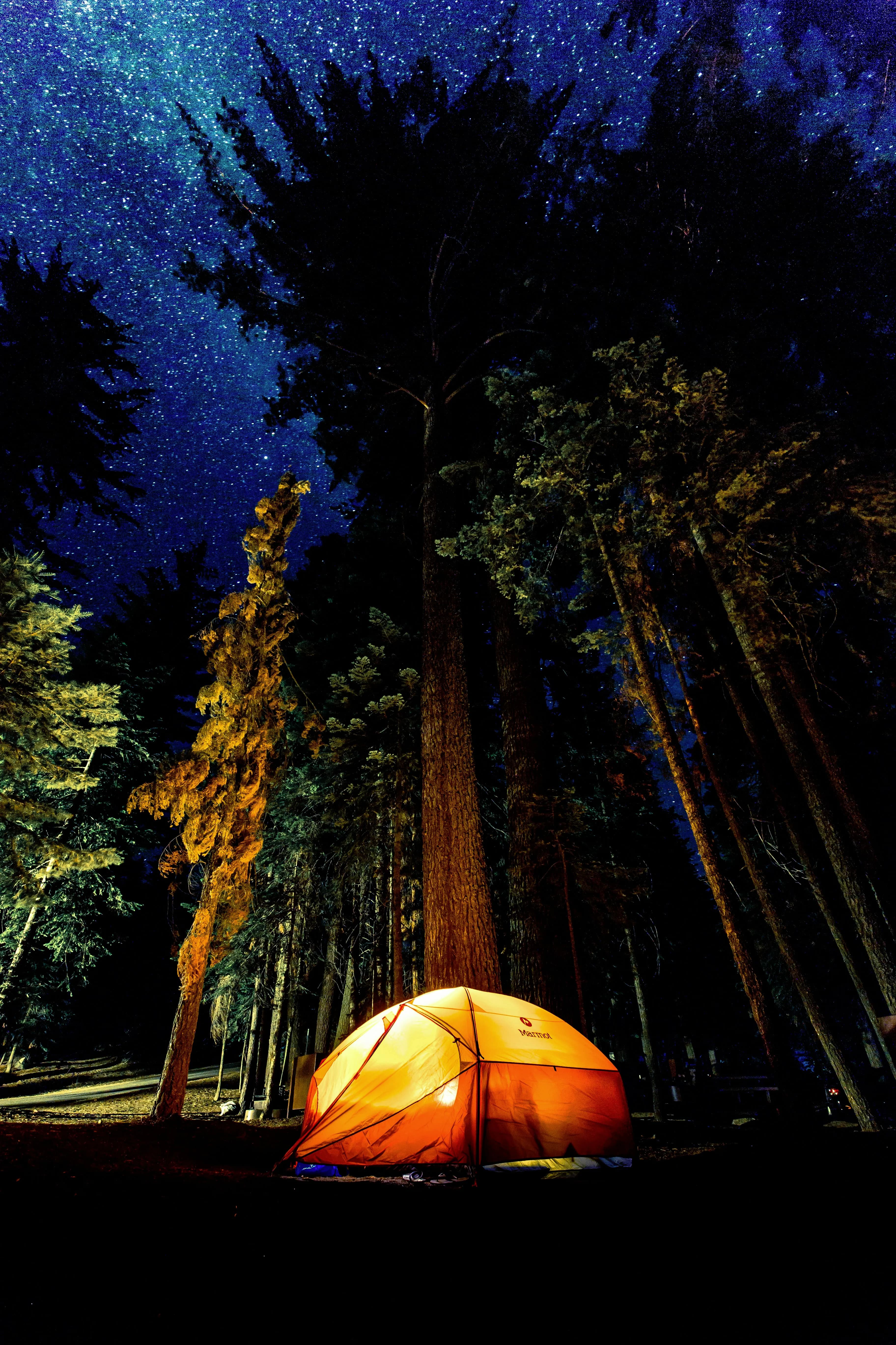 /_next/static/media/camping.c45b0463.webp