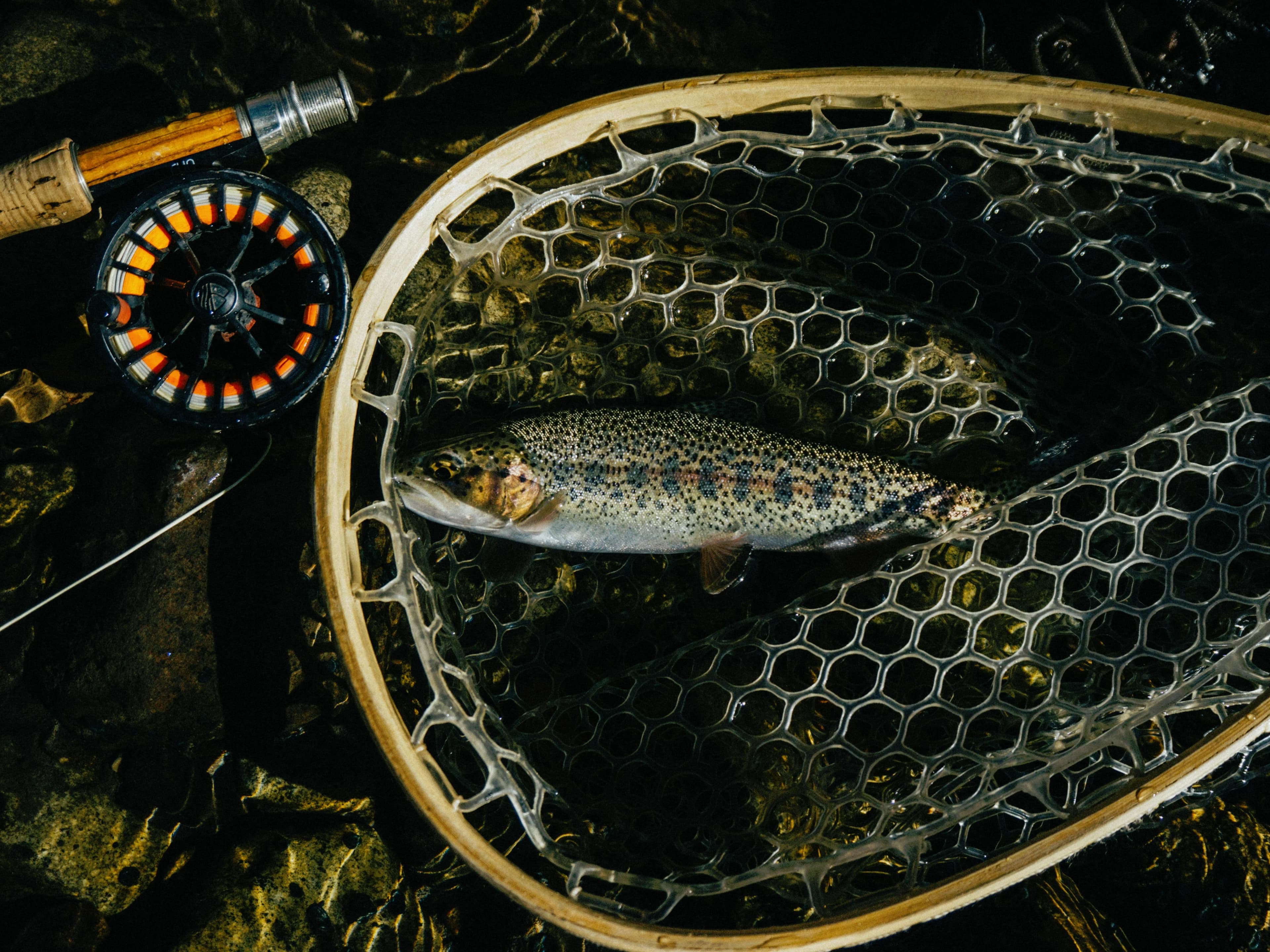 /_next/static/media/fly-fishing.8dcc2b04.webp