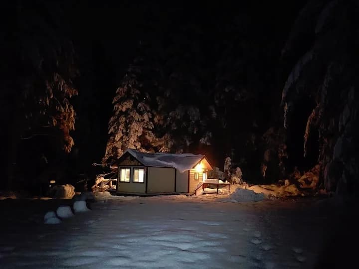 /_next/static/media/snowy-night.4625506e.webp