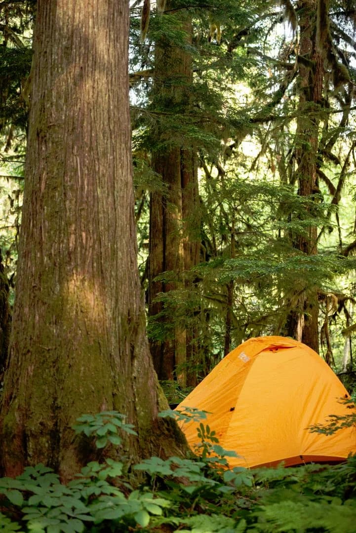 /_next/static/media/yellow-tent.759aec44.webp